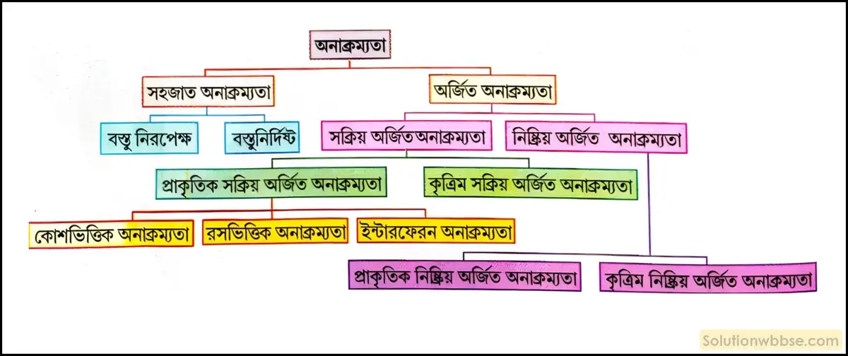 নবম শ্রেণী জীবনবিজ্ঞান - জীববিদ্যা ও মানবকল্যাণ - রচনাধর্মী প্রশ্ন ও উত্তর 2 অনাক্রম্যতার প্রকারভেদ