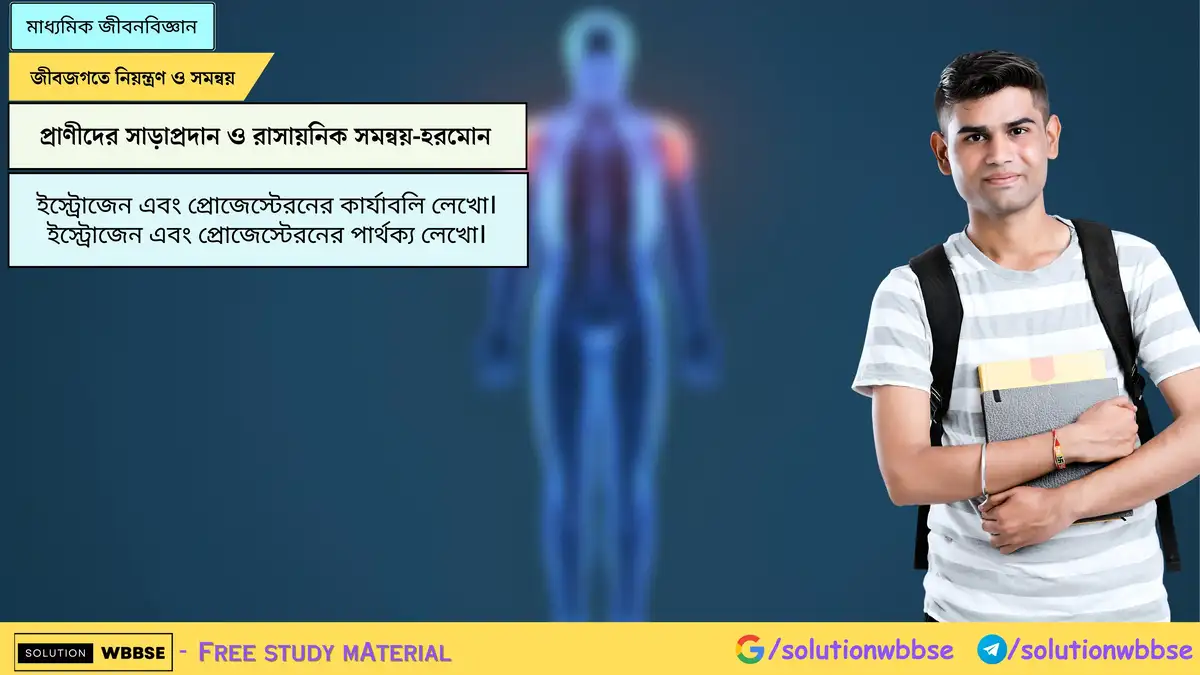 ইস্ট্রোজেন এবং প্রোজেস্টেরনের কার্যাবলি লেখো। ইস্ট্রোজেন এবং প্রোজেস্টেরনের পার্থক্য লেখো। 1 ইস্ট্রোজেন এবং প্রোজেস্টেরনের কার্যাবলি লেখো। ইস্ট্রোজেন এবং প্রোজেস্টেরনের পার্থক্য লেখো।