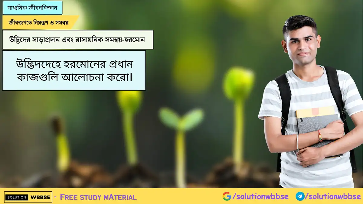 উদ্ভিদদেহে হরমোনের প্রধান কাজগুলি আলোচনা করো।