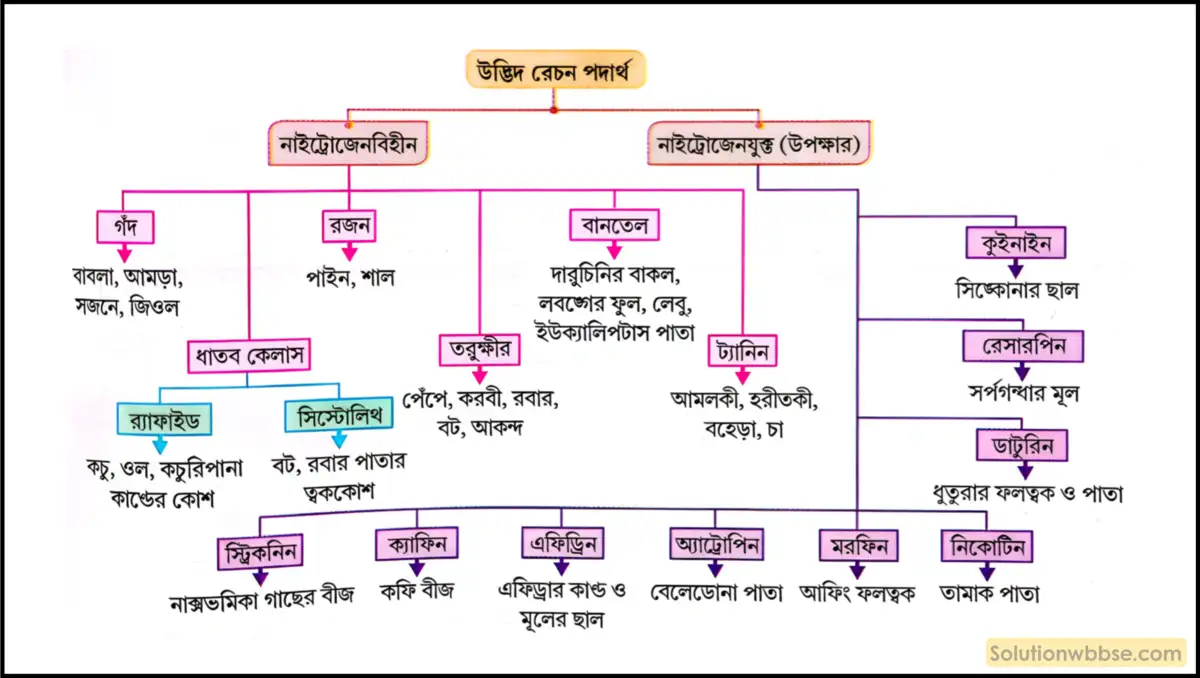 নবম শ্রেণী জীবনবিজ্ঞান - জৈবনিক প্রক্রিয়া - রেচন - রচনাধর্মী প্রশ্ন ও উত্তর 7 উদ্ভিদ রেচন পদার্থ