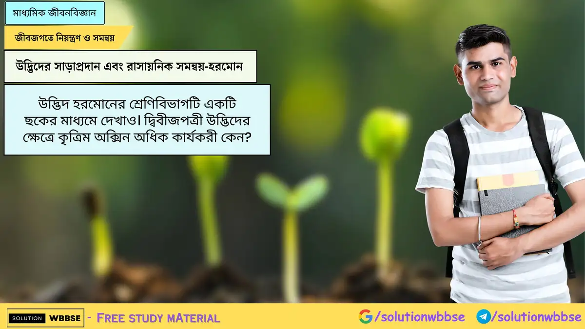 উদ্ভিদ হরমোনের শ্রেণিবিভাগটি একটি ছকের মাধ্যমে দেখাও। দ্বিবীজপত্রী উদ্ভিদের ক্ষেত্রে কৃত্রিম অক্সিন অধিক কার্যকরী কেন?