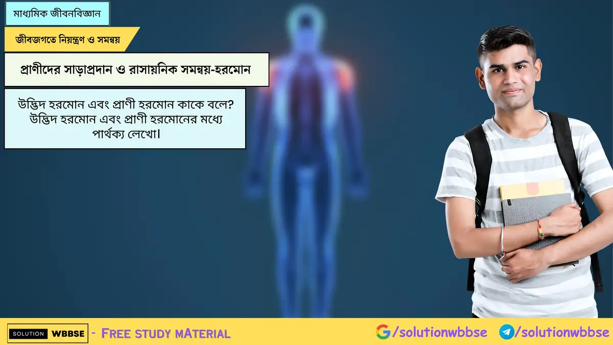 উদ্ভিদ হরমোন এবং প্রাণী হরমোন কাকে বলে? উদ্ভিদ হরমোন এবং প্রাণী হরমোনের মধ্যে পার্থক্য 1 উদ্ভিদ হরমোন এবং প্রাণী হরমোন কাকে বলে? উদ্ভিদ হরমোন এবং প্রাণী হরমোনের মধ্যে পার্থক্য লেখো।