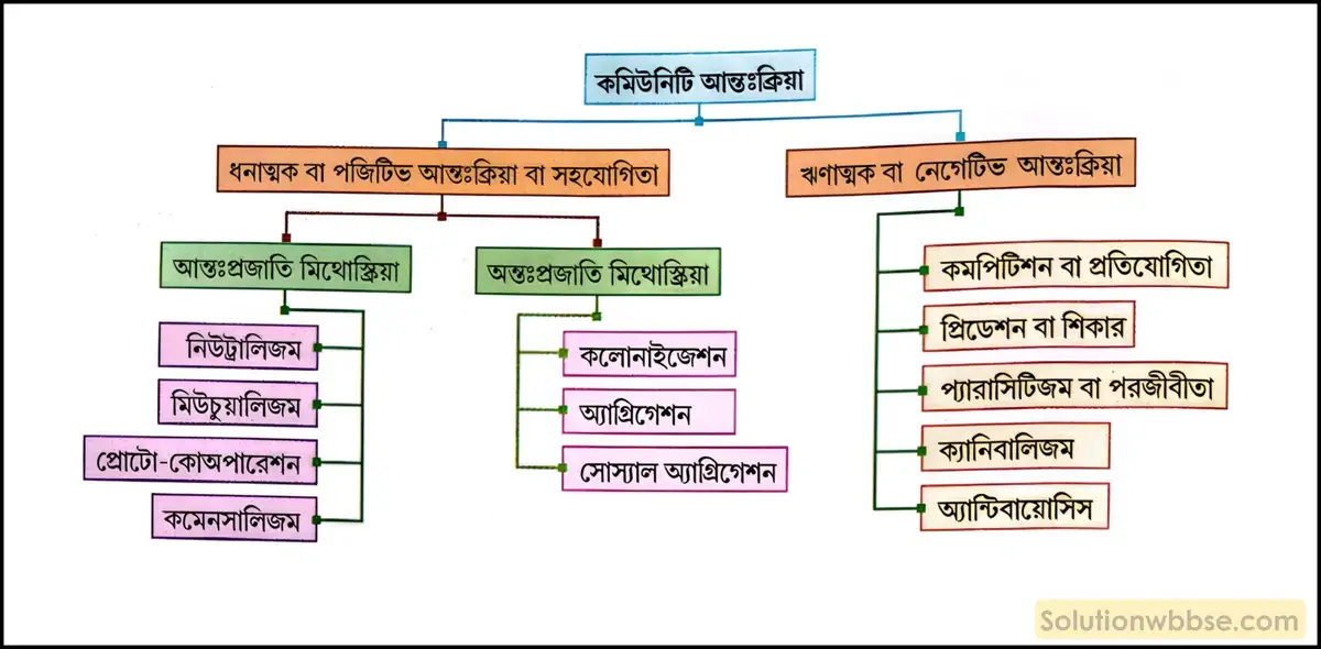 নবম শ্রেণী জীবনবিজ্ঞান - পরিবেশ ও তার সম্পদ - বাস্তুবিদ্যা ও বাস্তুবিদ্যার সংগঠন - রচনাধর্মী প্রশ্ন ও উত্তর 8 কমিউনিটি আন্তঃক্রিয়া