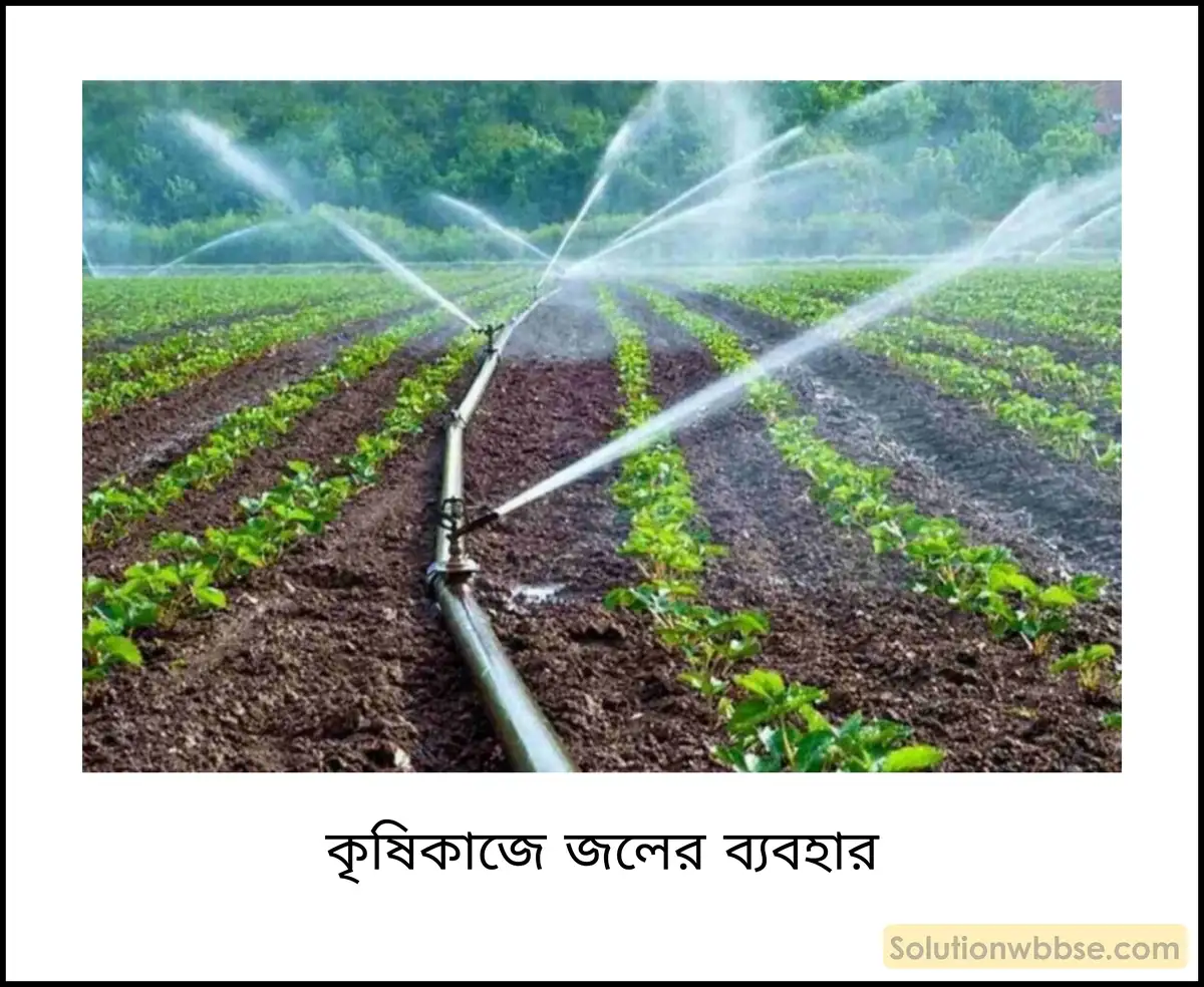 কৃষিকাজে জলের ব্যবহার