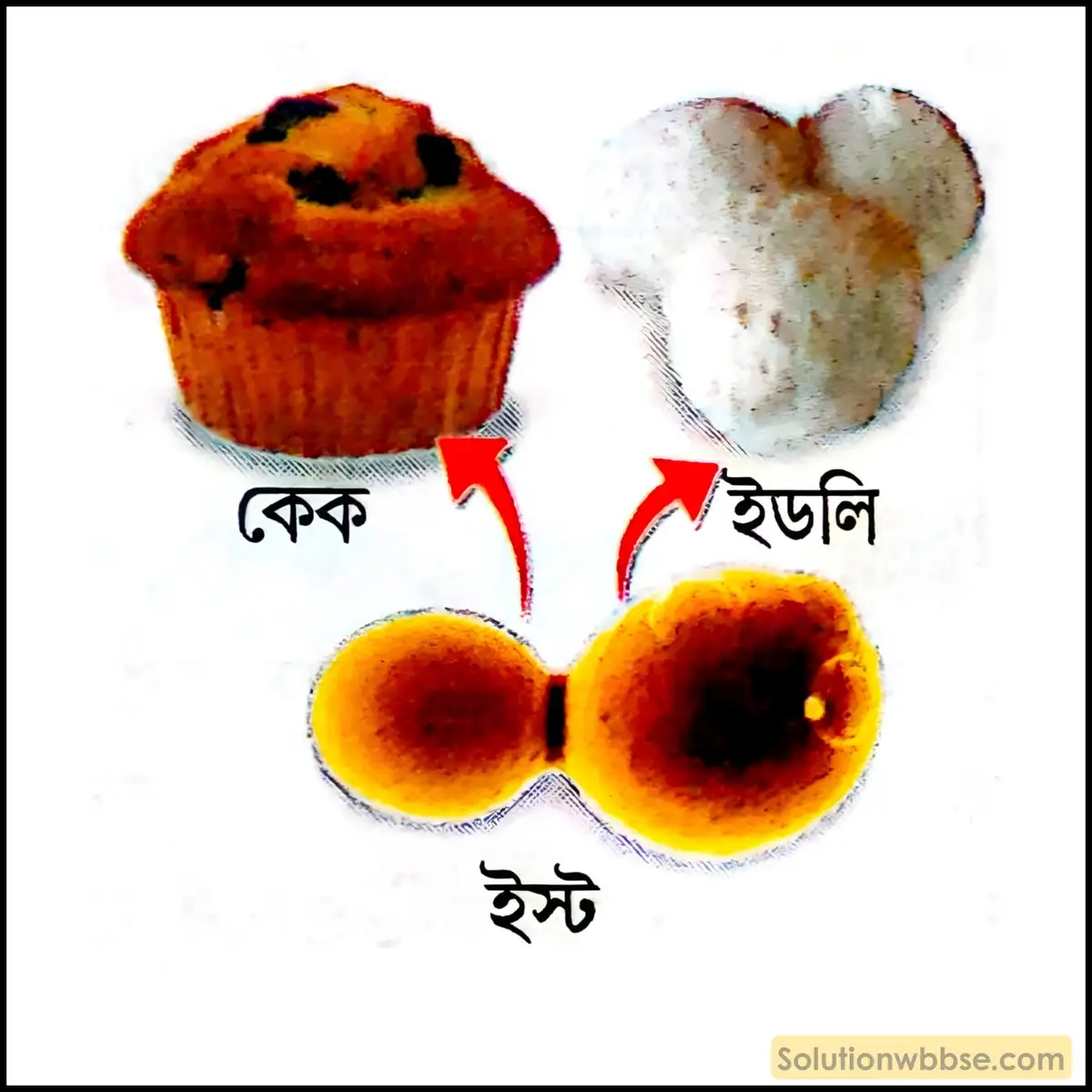 কোহল সন্ধানের দুটি ব্যাবহারিক গুরুত্ব