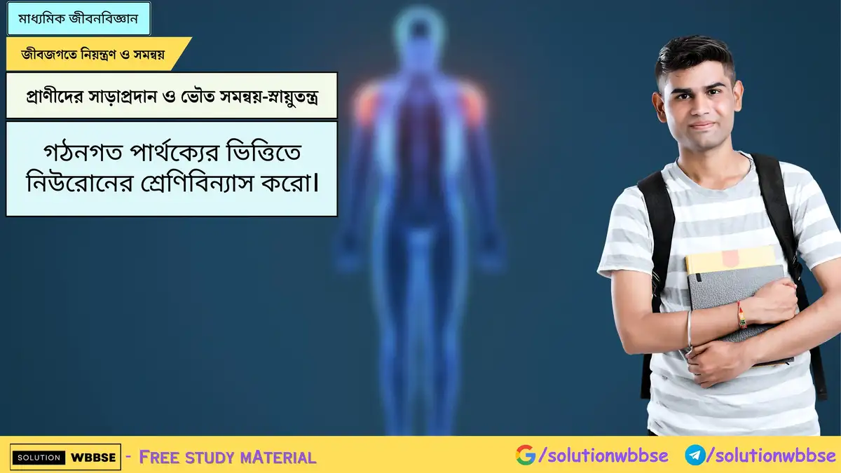 গঠনগত পার্থক্যের ভিত্তিতে নিউরোনের শ্রেণিবিন্যাস করো। 1 গঠনগত পার্থক্যের ভিত্তিতে নিউরোনের শ্রেণিবিন্যাস করো।
