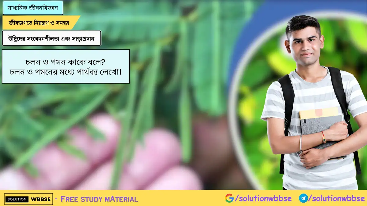 চলন ও গমন কাকে বলে? চলন ও গমনের মধ্যে পার্থক্য লেখো। 1 চলন ও গমন কাকে বলে? চলন ও গমনের মধ্যে পার্থক্য লেখো।