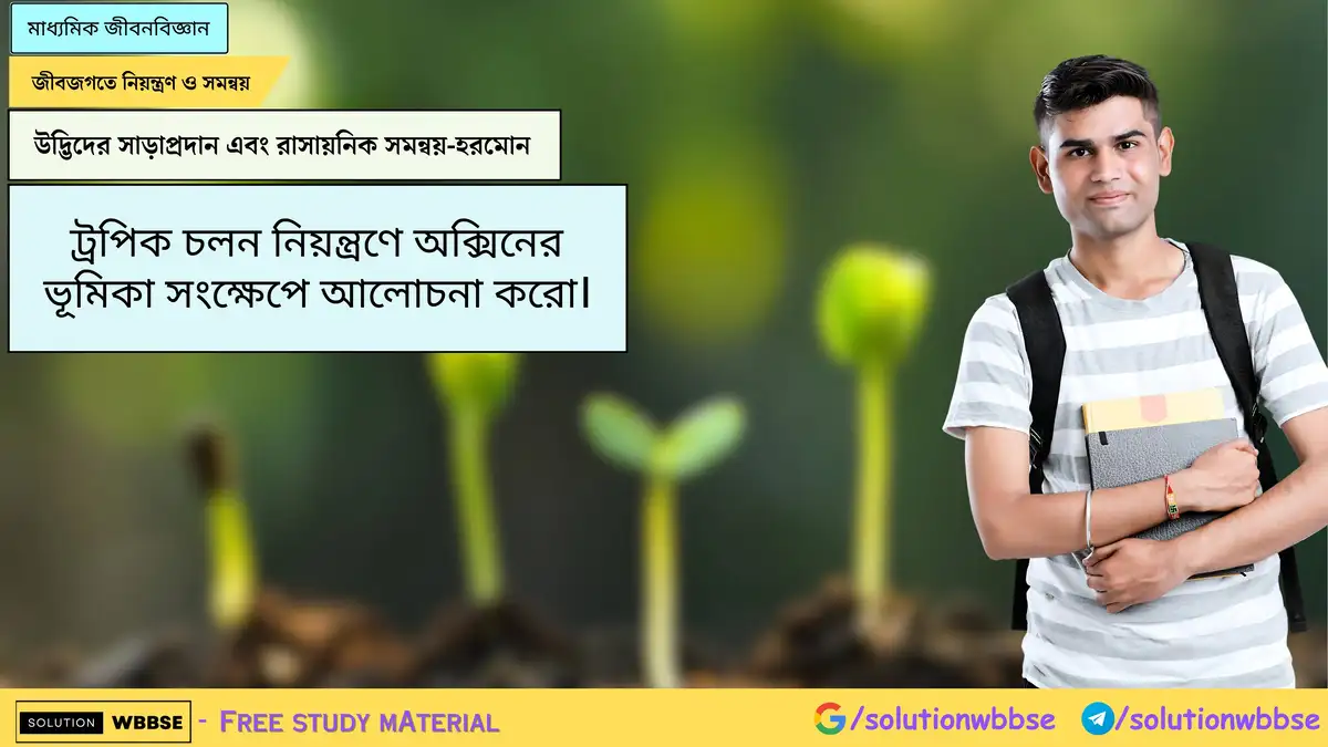 ট্রপিক চলন নিয়ন্ত্রণে অক্সিনের ভূমিকা সংক্ষেপে আলোচনা করো।