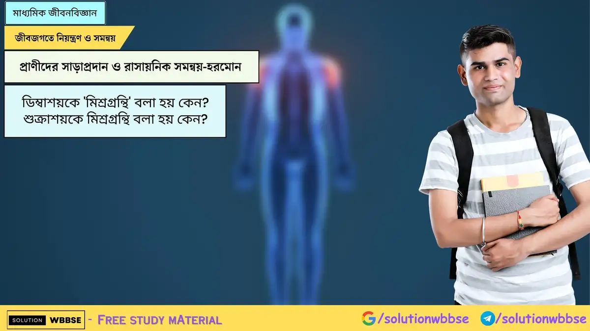 ডিম্বাশয়কে 'মিশ্রগ্রন্থি' বলা হয় কেন? শুক্রাশয়কে মিশ্রগ্রন্থি বলা হয় কেন? 1 ডিম্বাশয়কে 'মিশ্রগ্রন্থি' বলা হয় কেন? শুক্রাশয়কে মিশ্রগ্রন্থি বলা হয় কেন?