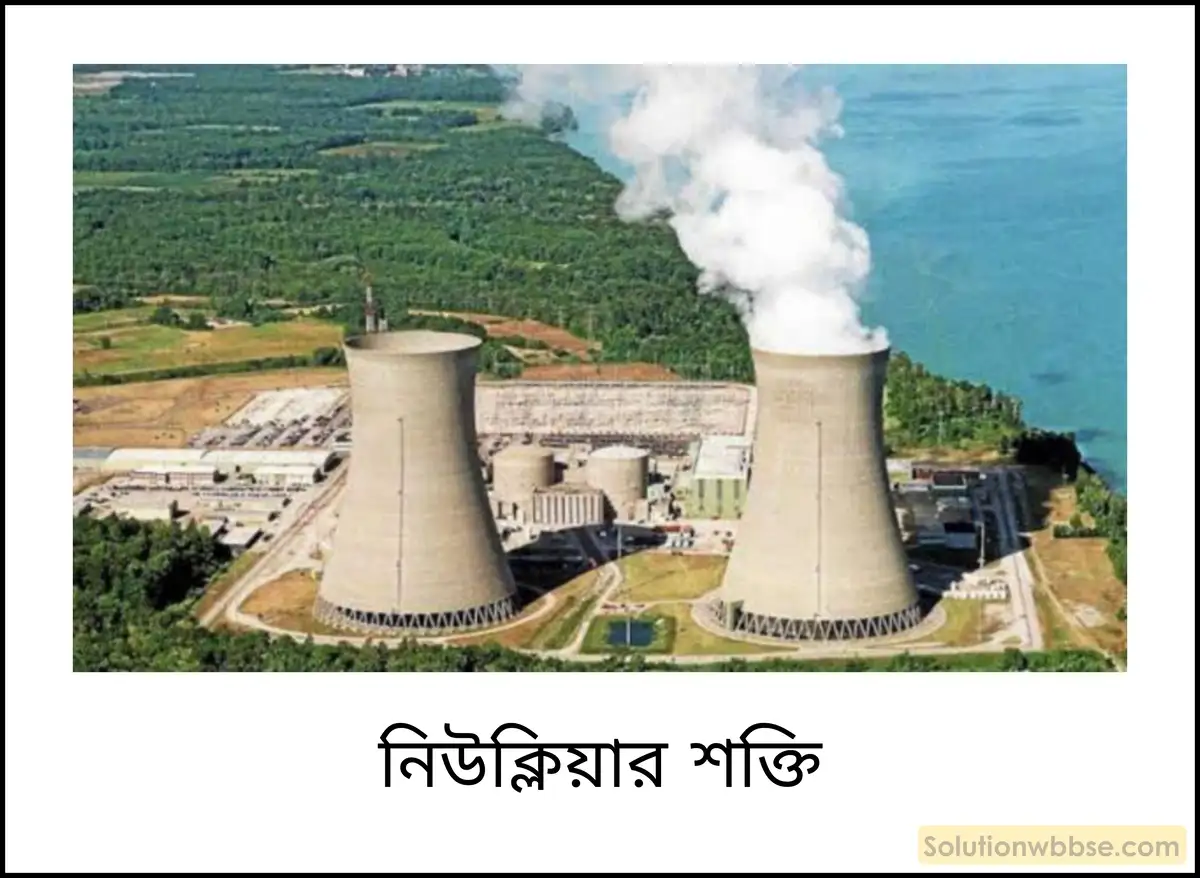 নিউক্লিয়ার শক্তি
