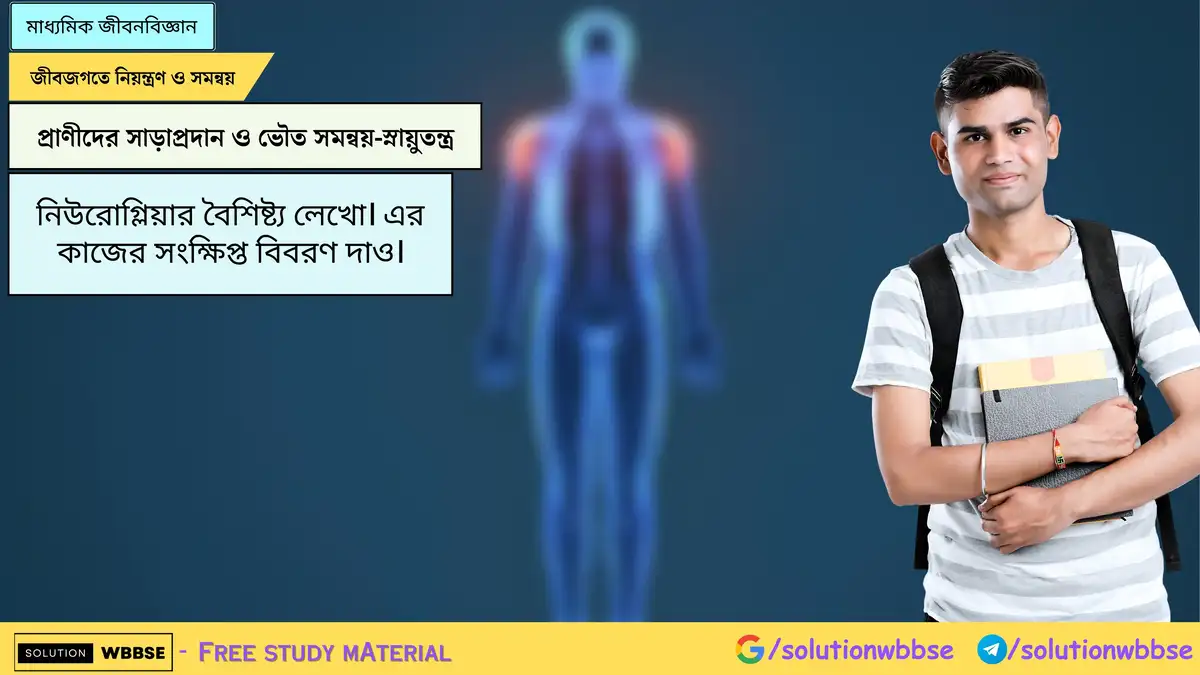 নিউরোগ্লিয়ার বৈশিষ্ট্য লেখো। এর কাজের সংক্ষিপ্ত বিবরণ দাও। 1 নিউরোগ্লিয়ার বৈশিষ্ট্য লেখো। এর কাজের সংক্ষিপ্ত বিবরণ দাও।