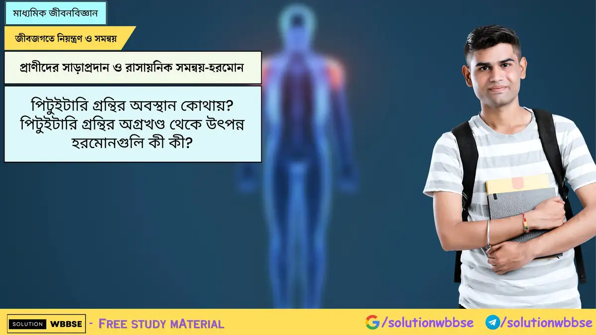 পিটুইটারি গ্রন্থির অবস্থান কোথায়? পিটুইটারি গ্রন্থির অগ্রখণ্ড থেকে উৎপন্ন হরমোনগুলি কী কী?