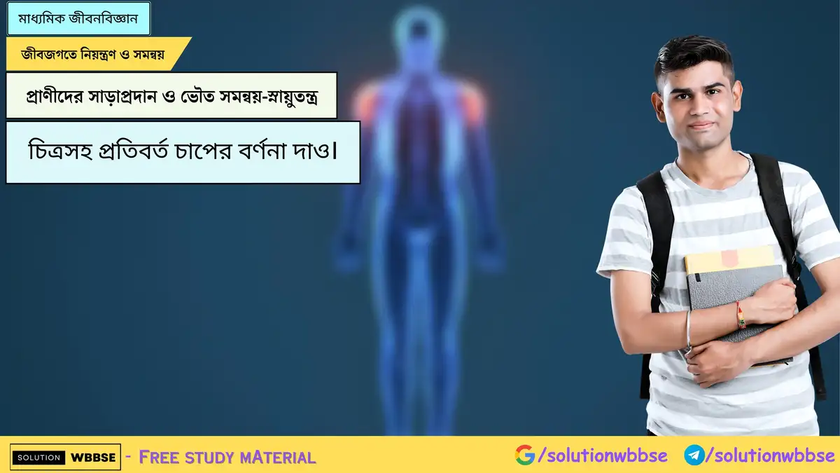 চিত্রসহ প্রতিবর্ত চাপের বর্ণনা দাও। 1 প্রতিবর্ত চাপের চিত্রসহ বর্ণনা দাও।