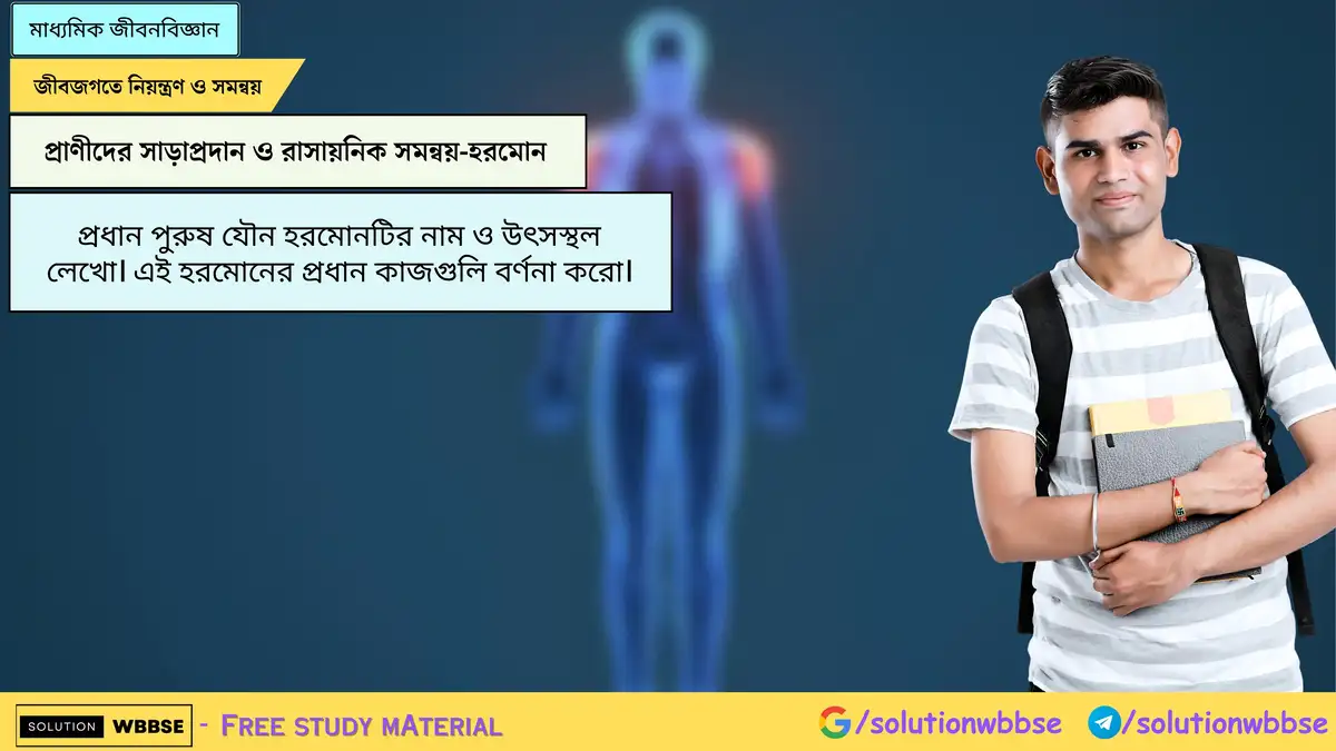 প্রধান পুরুষ যৌন হরমোনটির নাম ও উৎসস্থল লেখো। এই হরমোনের প্রধান কাজগুলি বর্ণনা করো। 1 প্রধান পুরুষ যৌন হরমোনটির নাম ও উৎসস্থল লেখো। এই হরমোনের প্রধান কাজগুলি বর্ণনা করো।