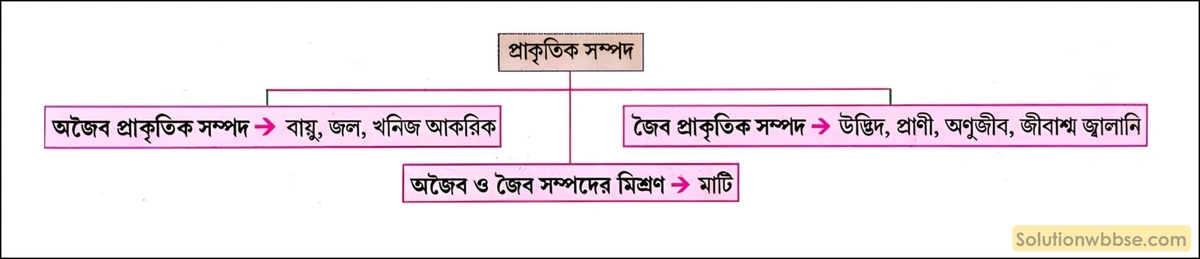 প্রাকৃতিক সম্পদ