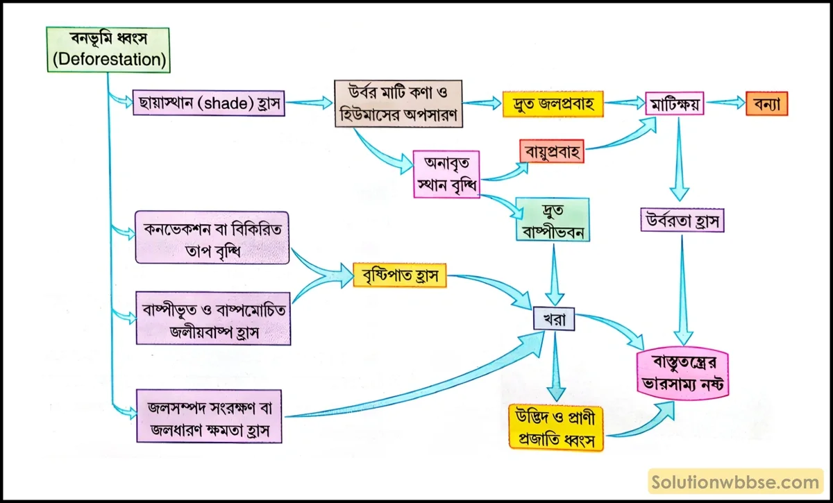বনভূমি ধ্বংস