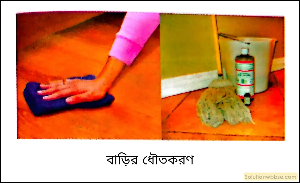 নবম শ্রেণী জীবনবিজ্ঞান - জীববিদ্যা ও মানবকল্যাণ - রচনাধর্মী প্রশ্ন ও উত্তর 12 বাড়ির ধৌতকরণ