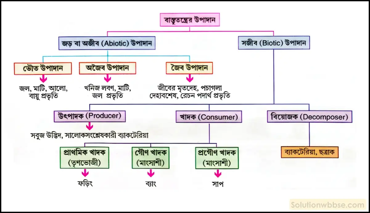 নবম শ্রেণী জীবনবিজ্ঞান - পরিবেশ ও তার সম্পদ - বাস্তুবিদ্যা ও বাস্তুবিদ্যার সংগঠন - রচনাধর্মী প্রশ্ন ও উত্তর 9 বাস্তুতন্ত্রের উপাদানসমূহ