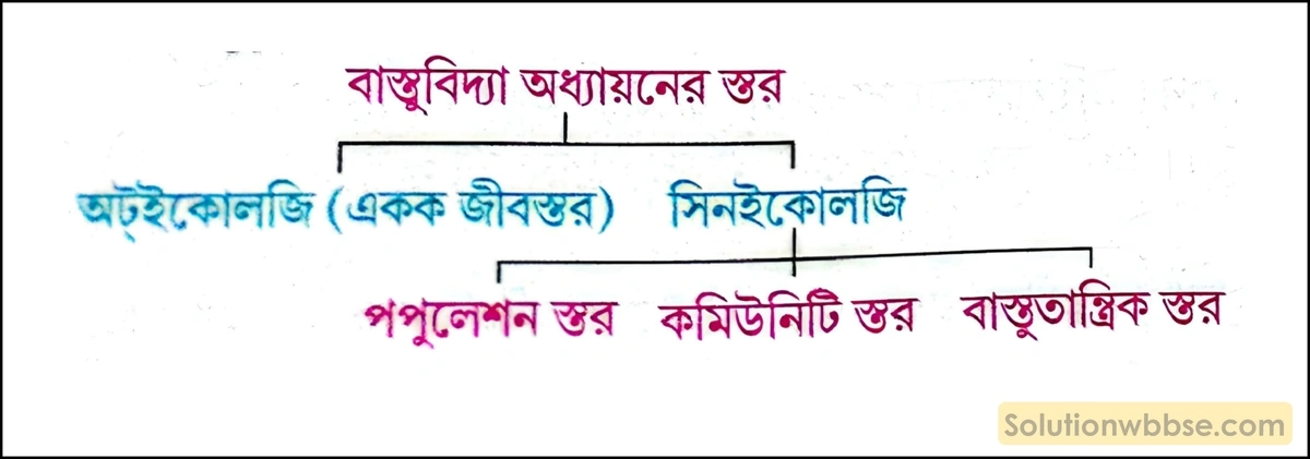 বাস্তুবিদ্যা অধ্যায়নের স্তর