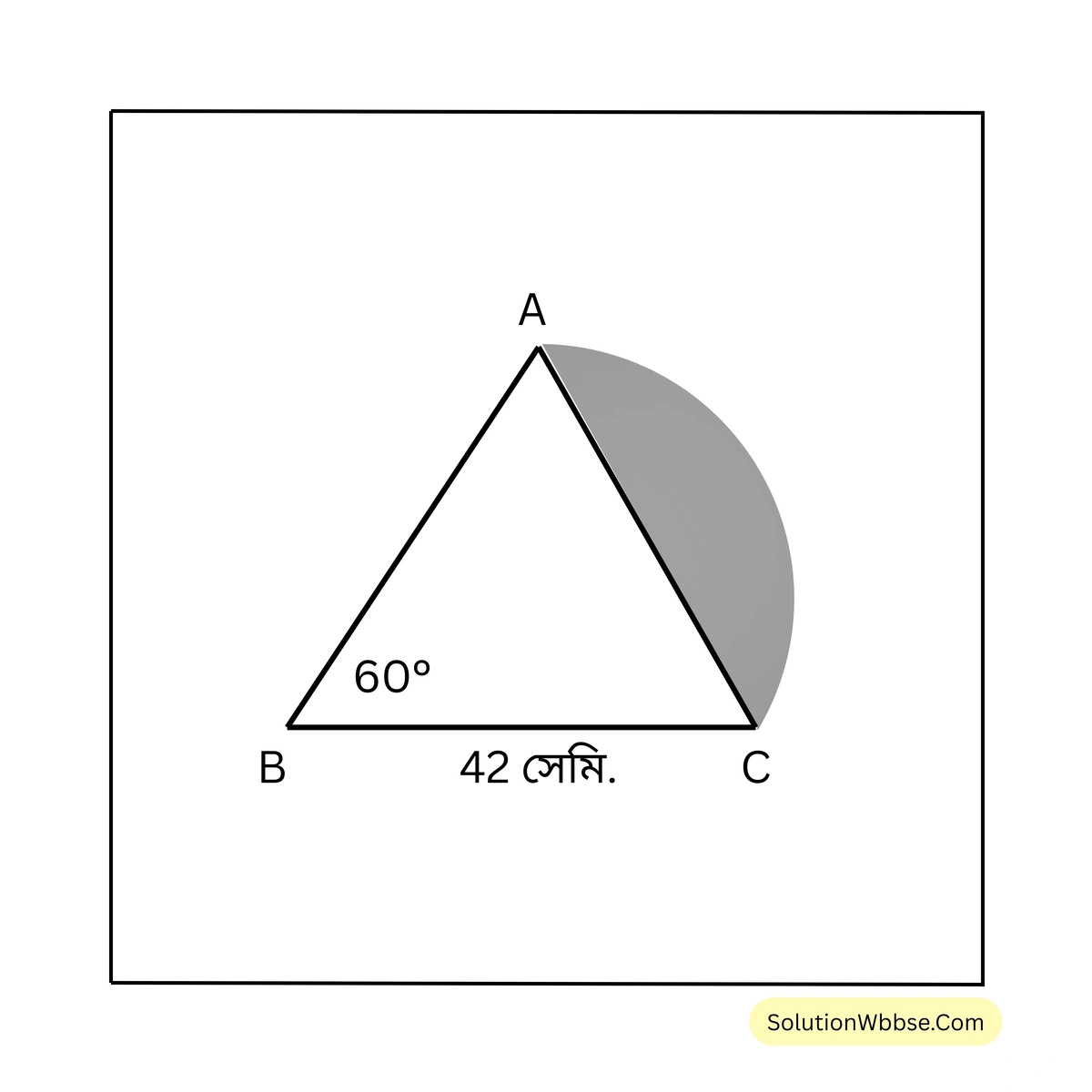বৃত্তের ক্ষেত্রফল-নবম শ্রেণী-গণিত