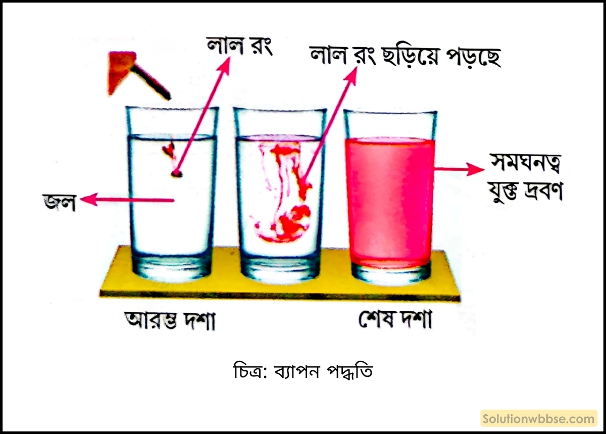নবম শ্রেণী জীবনবিজ্ঞান - জৈবনিক প্রক্রিয়া - উদ্ভিদ শারীরবিদ্যা - জল, খনিজ পদার্থ, খাদ্য ও গ্যাসের পরিবহণ - রচনাধর্মী প্রশ্ন ও উত্তর 2 ব্যাপন পদ্ধতি