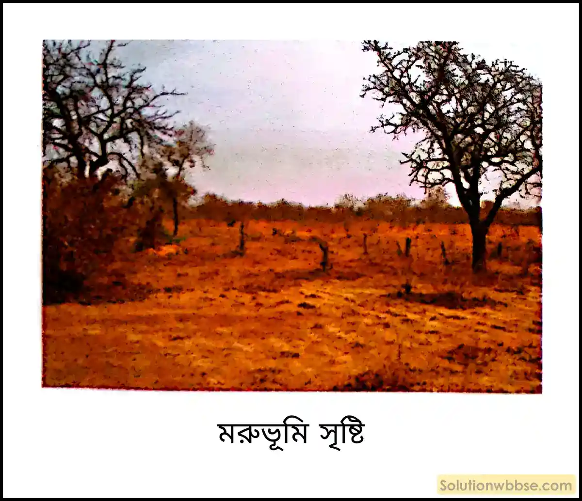 মরুভূমি সৃষ্টি