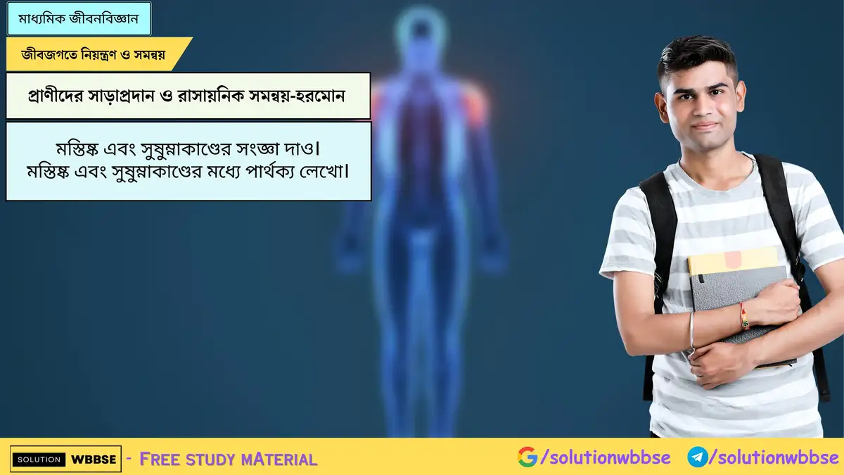 মস্তিষ্ক এবং সুষুম্নাকাণ্ডের সংজ্ঞা দাও। মস্তিষ্ক এবং সুষুম্নাকাণ্ডের মধ্যে পার্থক্য লেখো।