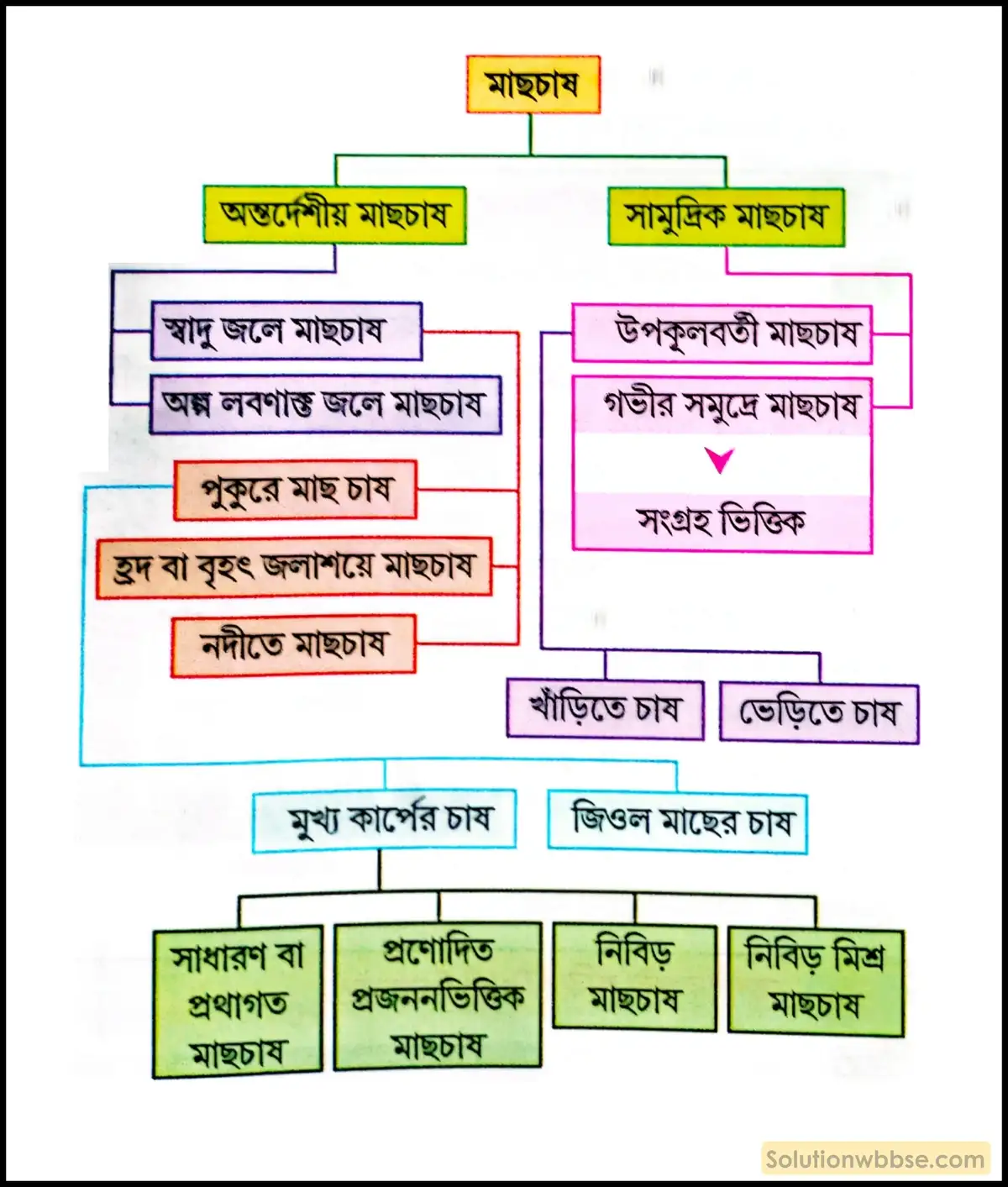 মাছচাষের বিভিন্ন বিভাগ