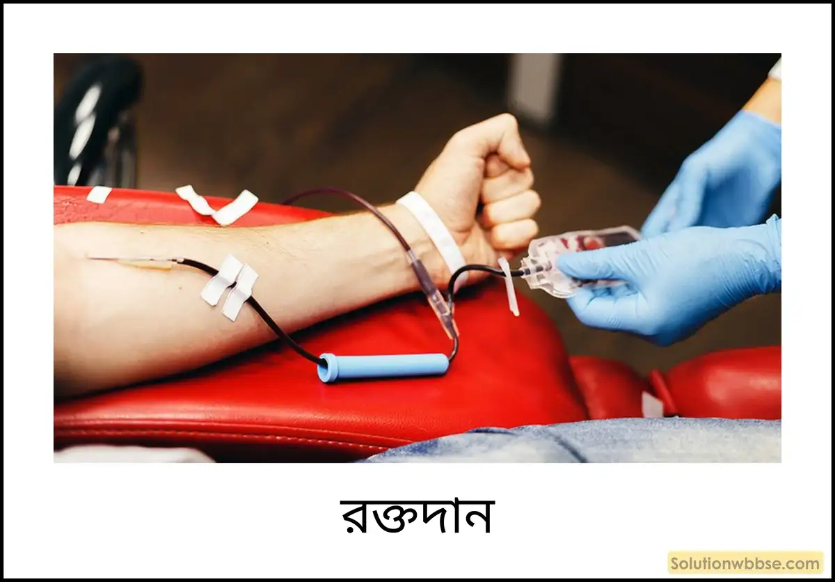 নবম শ্রেণী জীবনবিজ্ঞান - জৈবনিক প্রক্রিয়া - সংবহন - সংক্ষিপ্ত প্রশ্ন ও উত্তর 5 রক্তদান