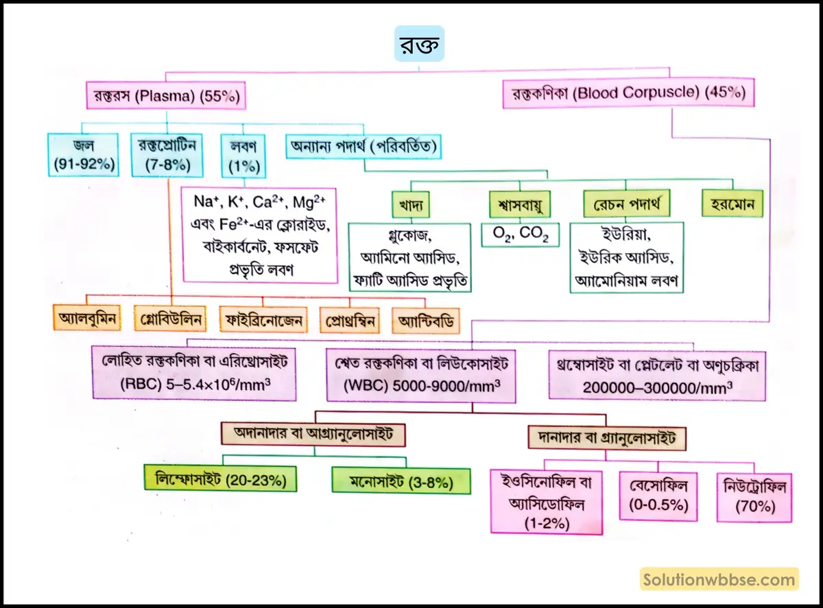 রক্তের উপাদানসমূহ
