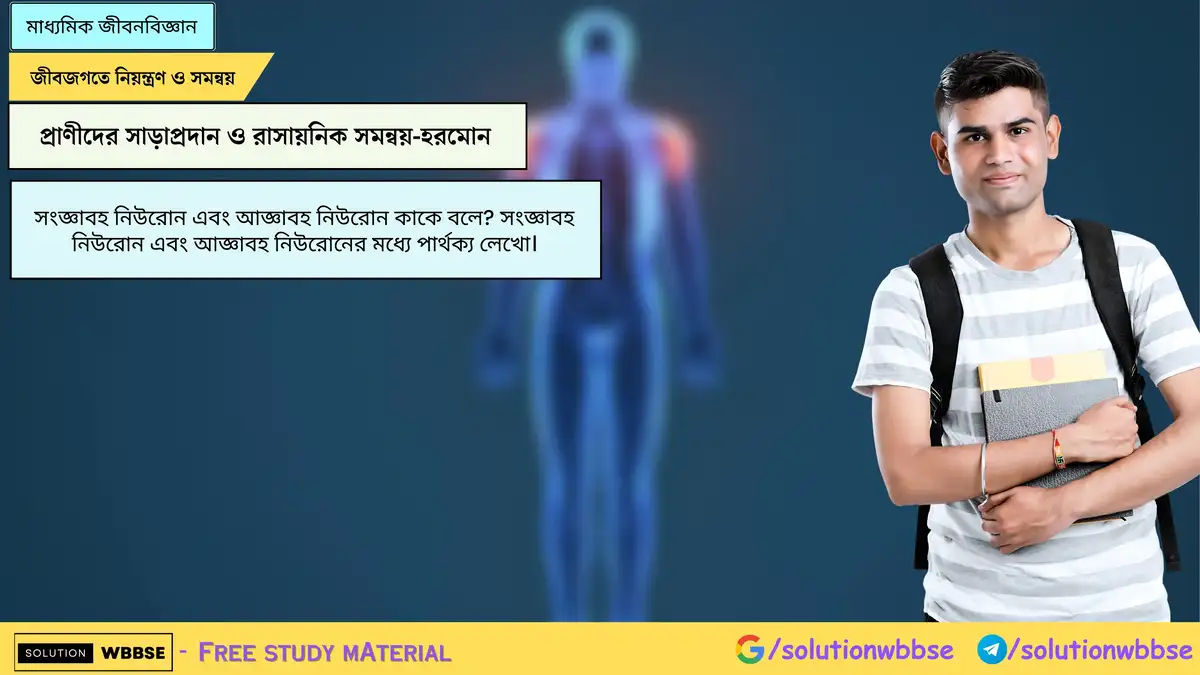 সংজ্ঞাবহ নিউরোন ও আজ্ঞাবহ নিউরোন কাকে বলে? সংজ্ঞাবহ নিউরোন ও আজ্ঞাবহ নিউরোনের পার্থক্য 1 সংজ্ঞাবহ নিউরোন এবং আজ্ঞাবহ নিউরোন কাকে বলে? সংজ্ঞাবহ নিউরোন এবং আজ্ঞাবহ নিউরোনের মধ্যে পার্থক্য লেখো।