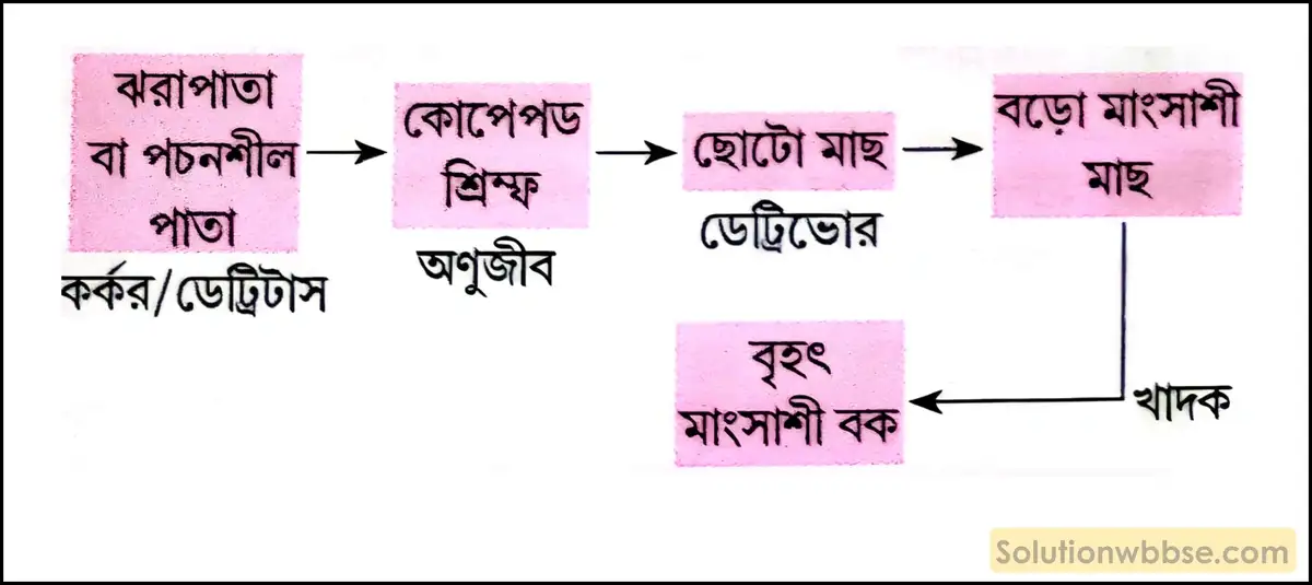 সবুজ উদ্ভিদের পরিবর্তে পচনশীল জৈব বস্তু