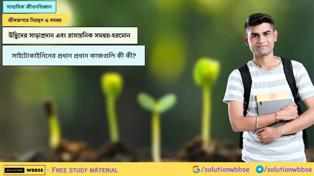 সাইটোকাইনিনের প্রধান প্রধান কাজগুলি কী কী?