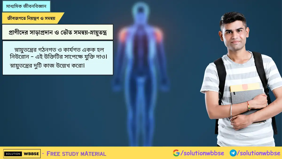 স্নায়ুতন্ত্রের গঠনগত ও কার্যগত একক হল নিউরোন - এই উক্তিটির সাপেক্ষে যুক্তি দাও। স্নায়ুতন্ত্রের দুটি কাজ উল্লেখ করো।