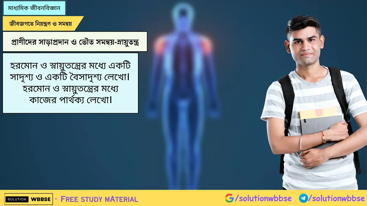 হরমোন ও স্নায়ুতন্ত্রের মধ্যে একটি সাদৃশ্য ও একটি বৈসাদৃশ্য লেখো। হরমোন ও স্নায়ুতন্ত্রের মধ্যে কাজের পার্থক্য লেখো।