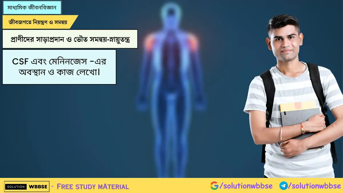 CSF এবং মেনিনজেস -এর অবস্থান ও কাজ লেখো। 1 CSF এবং মেনিনজেস -এর অবস্থান ও কাজ লেখো।