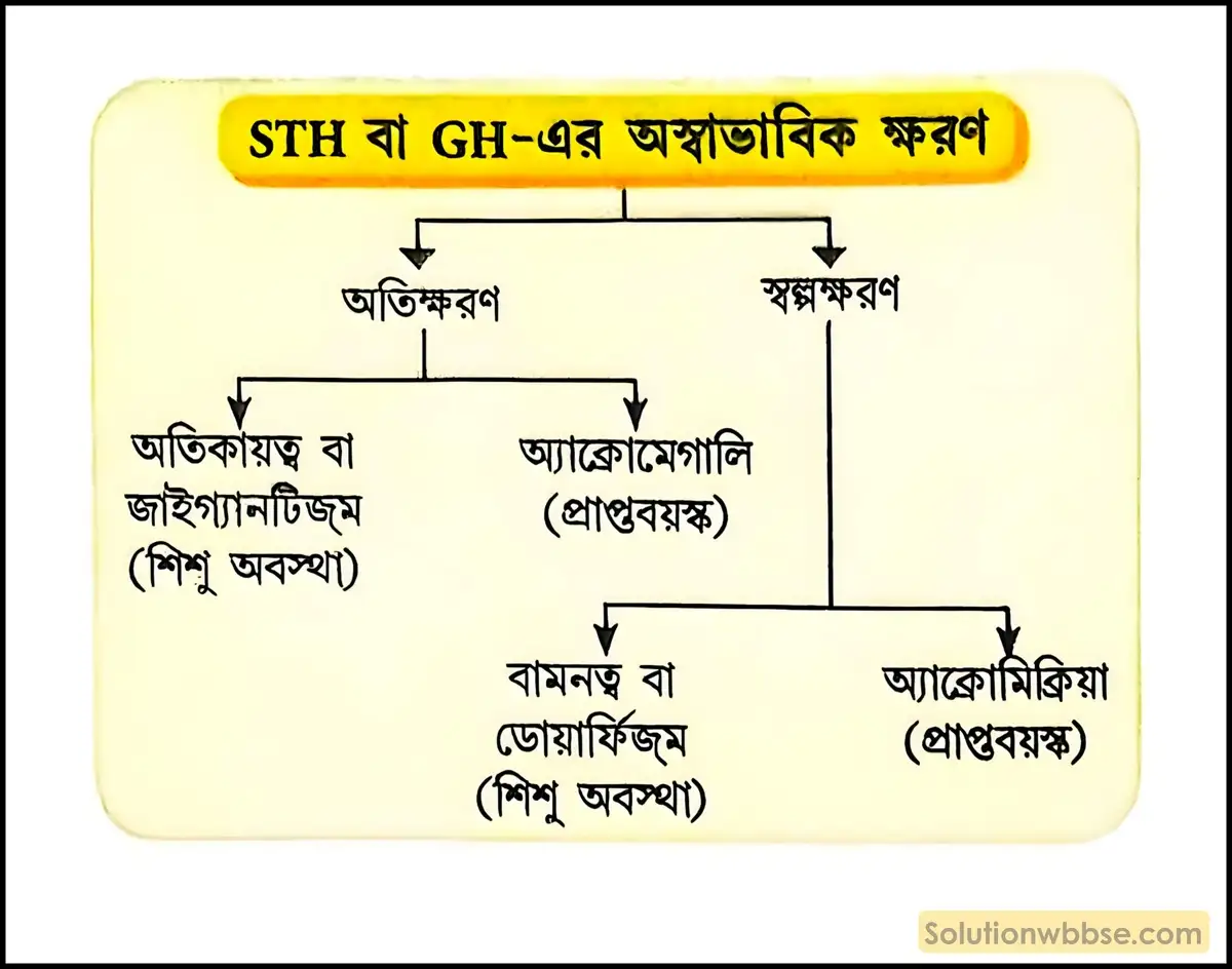 STH হরমোনের সাধারণ কাজগুলি উল্লেখ করো। 3 STH বা GH-এর অস্বাভাবিক ক্ষরণ