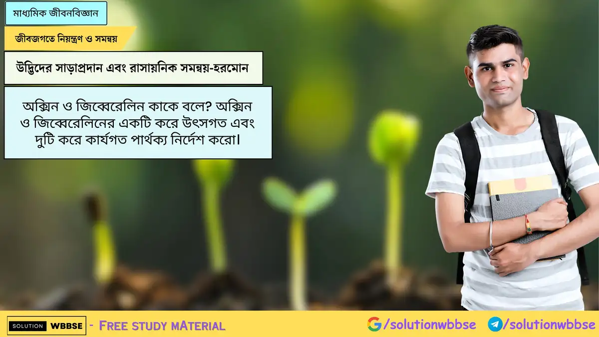 অক্সিন ও জিব্বেরেলিন কাকে বলে? অক্সিন ও জিব্বেরেলিনের একটি করে উৎসগত এবং দুটি করে কার্যগত পার্থক্য নির্দেশ করো।