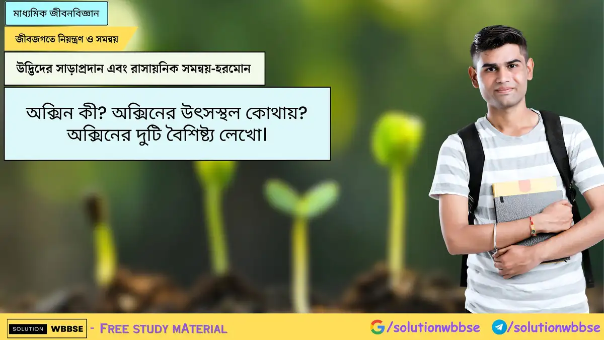 অক্সিন কী? অক্সিনের উৎসস্থল কোথায়? অক্সিনের দুটি বৈশিষ্ট্য লেখো।