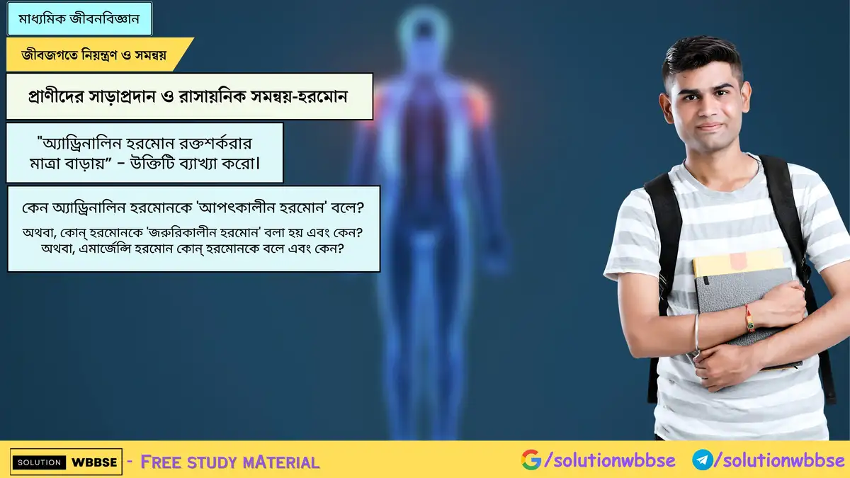 "অ্যাড্রিনালিন হরমোন রক্তশর্করার মাত্রা বাড়ায়” - উক্তিটি ব্যাখ্যা করো। কেন অ্যাড্রিনালিন হরমোনকে 'আপৎকালীন হরমোন' বলে?