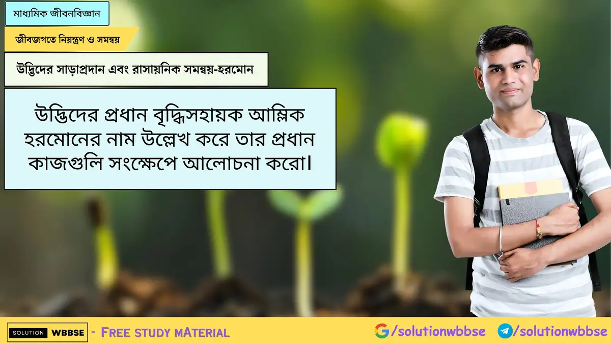 Home 4 উদ্ভিদের প্রধান বৃদ্ধিসহায়ক আম্লিক হরমোনের নাম উল্লেখ করে তার প্রধান কাজগুলি সংক্ষেপে আলোচনা করো।
