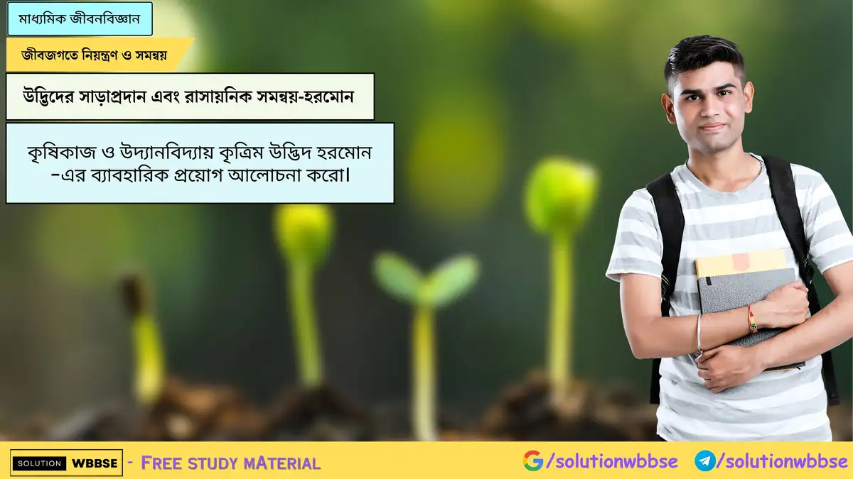 Home 8 কৃষিকাজ ও উদ্যানবিদ্যায় কৃত্রিম উদ্ভিদ হরমোন -এর ব্যাবহারিক প্রয়োগ আলোচনা করো।