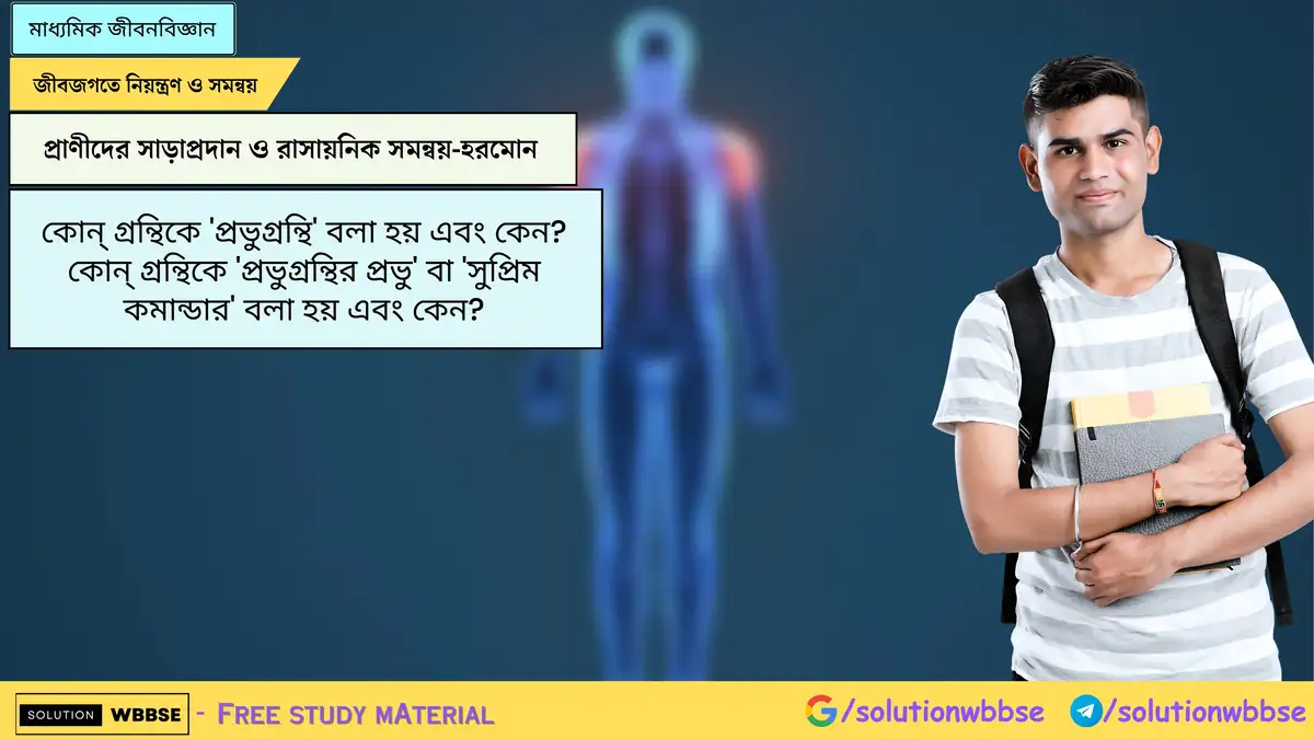 Home 2 কোন্ গ্রন্থিকে 'প্রভুগ্রন্থি' বলা হয় এবং কেন? কোন্ গ্রন্থিকে 'প্রভুগ্রন্থির প্রভু' বা 'সুপ্রিম কমান্ডার' বলা হয় এবং কেন?