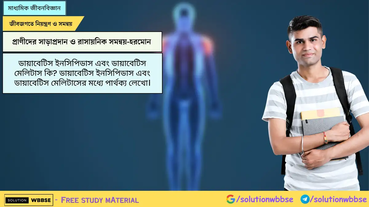 ডায়াবেটিস ইনসিপিডাস এবং ডায়াবেটিস মেলিটাস কি? ডায়াবেটিস ইনসিপিডাস এবং ডায়াবেটিস মেলিটাসের মধ্যে পার্থক্য লেখো।