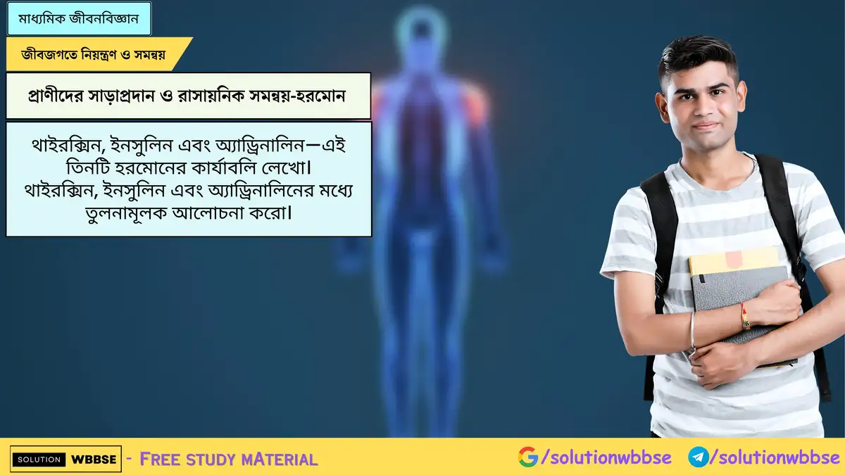 থাইরক্সিন, ইনসুলিন এবং অ্যাড্রিনালিন—এই তিনটি হরমোনের কার্যাবলি লেখো। থাইরক্সিন, ইনসুলিন এবং অ্যাড্রিনালিনের মধ্যে তুলনামূলক আলোচনা করো।