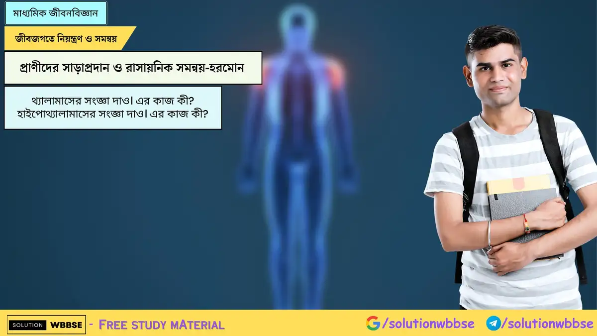 থ্যালামাসের সংজ্ঞা দাও। এর কাজ কী? হাইপোথ্যালামাসের সংজ্ঞা দাও। এর কাজ কী?