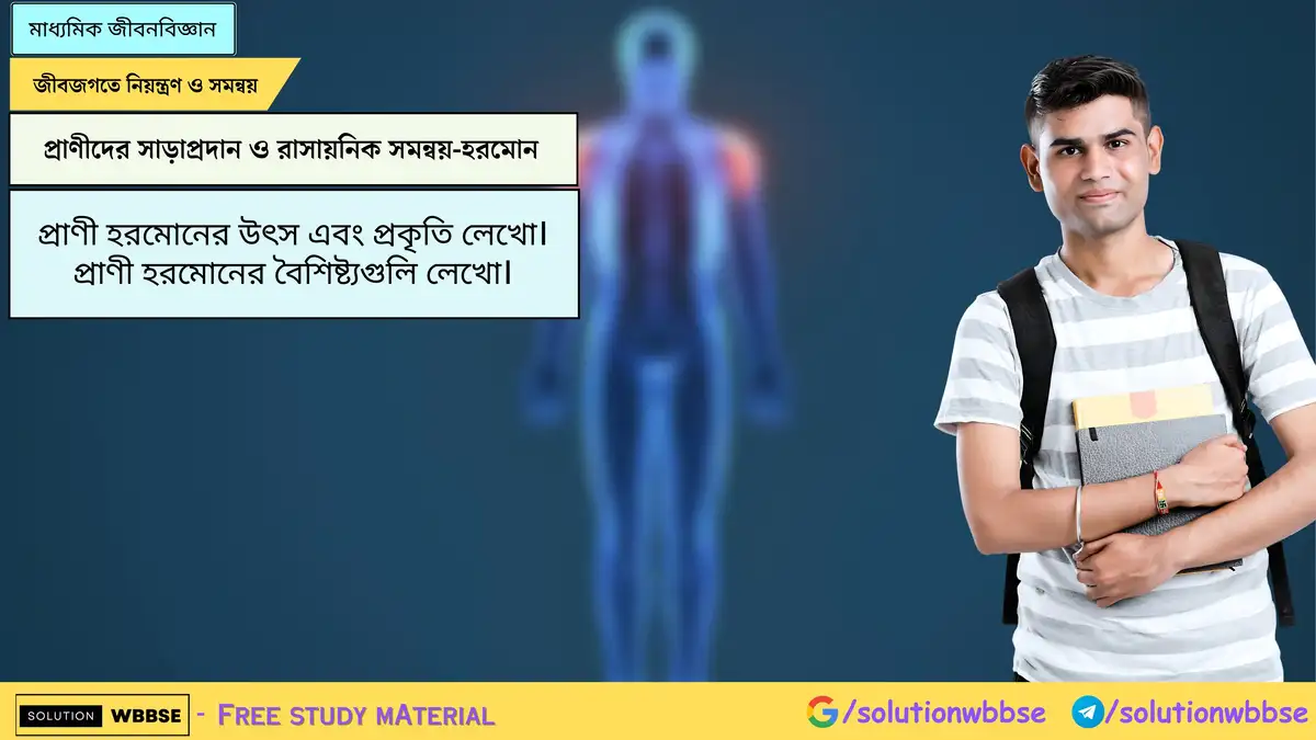 Home 3 প্রাণী হরমোনের উৎস এবং প্রকৃতি লেখো। প্রাণী হরমোনের বৈশিষ্ট্যগুলি লেখো।