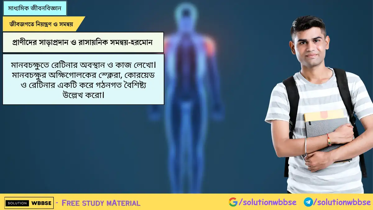 মানবচক্ষুতে রেটিনার অবস্থান ও কাজ লেখো। মানবচক্ষুর অক্ষিগোলকের স্ক্লেরা, কোরয়েড ও রেটিনার একটি করে গঠনগত বৈশিষ্ট্য উল্লেখ করো।