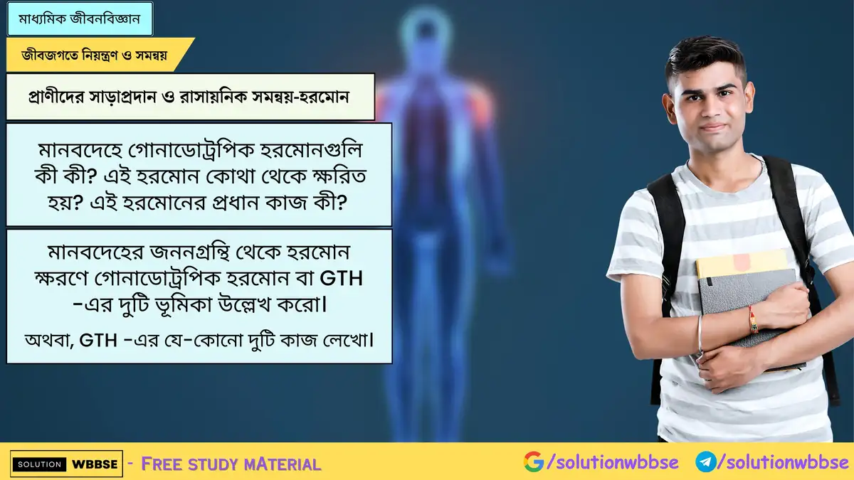 মানবদেহে গোনাডোট্রপিক হরমোনগুলি কী কী? এই হরমোন কোথা থেকে ক্ষরিত হয়? এই হরমোনের প্রধান কাজ কী? মানবদেহের জননগ্রন্থি থেকে হরমোন ক্ষরণে গোনাডোট্রপিক হরমোন বা GTH -এর দুটি ভূমিকা উল্লেখ করো।