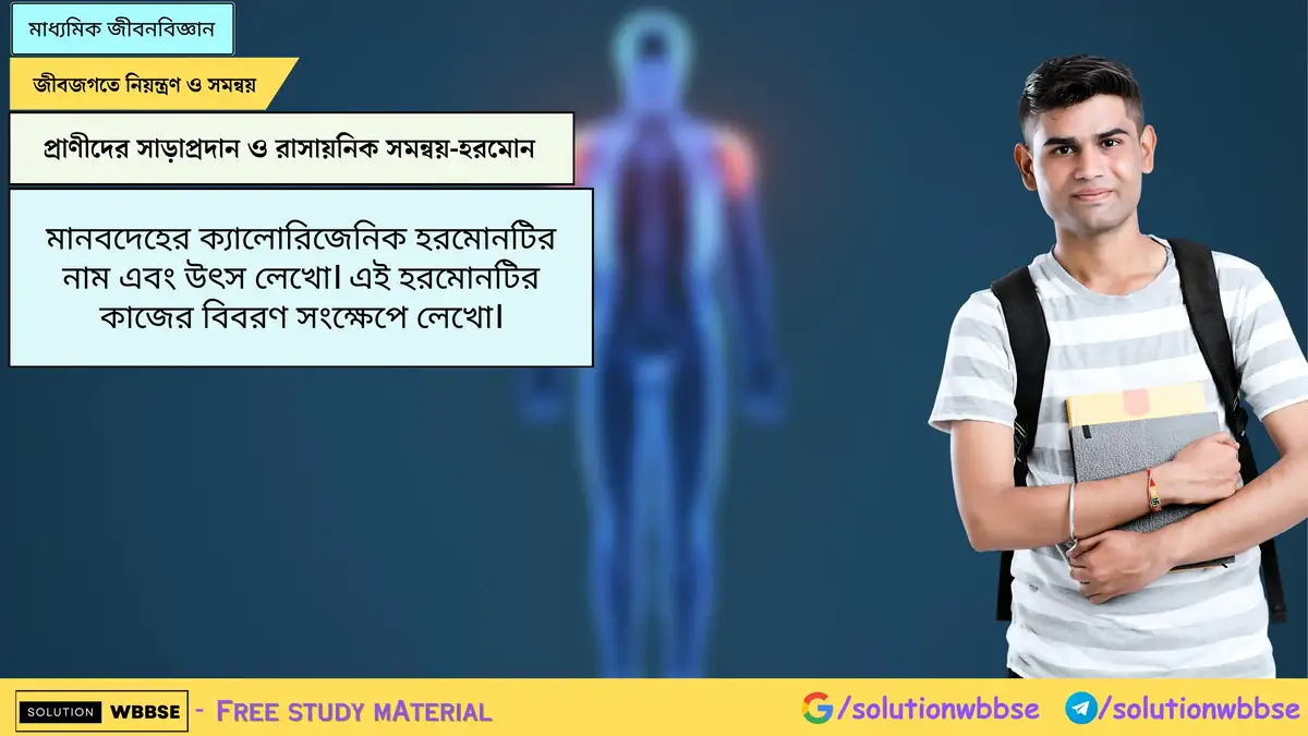 মানবদেহের ক্যালোরিজেনিক হরমোনটির নাম এবং উৎস লেখো। এই হরমোনটির কাজের বিবরণ সংক্ষেপে লেখো।